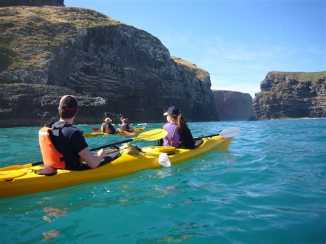 Banks Peninsula 4×4 Scenic Sea Kayaking Safari In New Zealand From