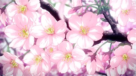 𝚊𝚎𝚜𝚝𝚑𝚎𝚝𝚒𝚌 𝚊𝚗𝚒𝚖𝚎 𝚐𝚒𝚏𝚜 Anime flower Anime cherry blossom Anime backgrounds wallpapers