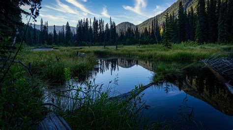 Download Alberta Canada Reflection Nature Forest Landscape 4k Ultra Hd