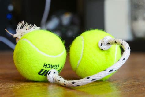 5 Diy Dog Toys You Make In Minutes Cnet