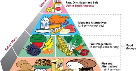 Produsen dan konsumen adalah klasifikasi pada piramida makanan berdasarkan fungsinya di dalam ekosistem. Dunia Pendidikan Jasmani dan Kesihatan Tahun 4: Pemakanan ...