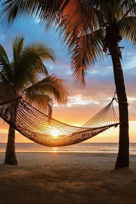 Jamaica Hammock On Beach At Sunset Photograph By Tetra Images Fine