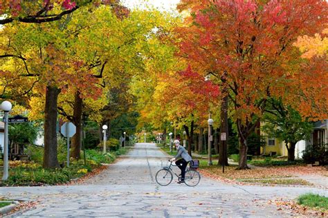 Urbana residents, here are the leaf collection dates - Smile Politely