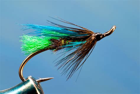Pin By Ernie Schwarz On Steelhead Salmon And Spey Flies Fly Tying