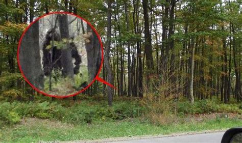 Are These Amazing New Images Proof Bigfoot Actually Exists Hiker Snaps
