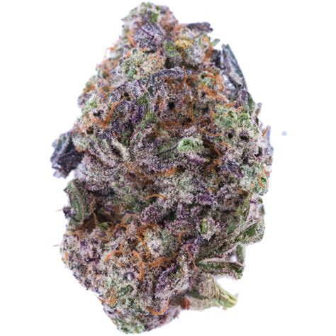 Gelato Balanced Hybrid Cannabis Strain Mmjdirect