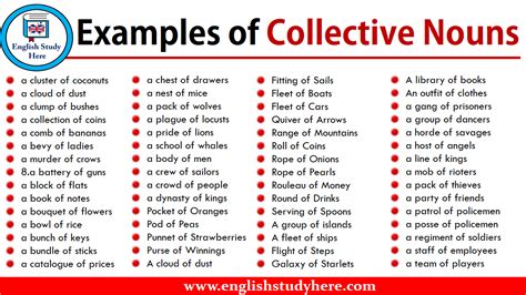 Examples of Collective Nouns - English Study Here