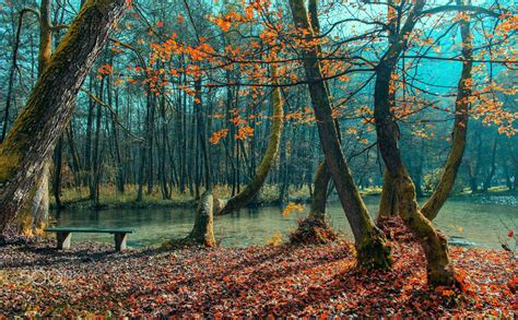 Peaceful River Bosnia River Ilidza Sarajevo Bosnia And