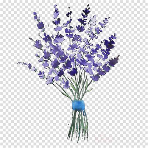 Lavender Bouquet Realistic Illustration Free Download Vector Psd And