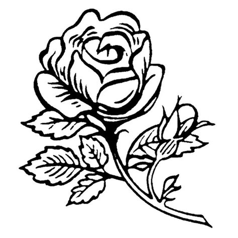 Watercolor summer frame for banner, poster, sale with. Single Rose Clip Art - Cliparts.co