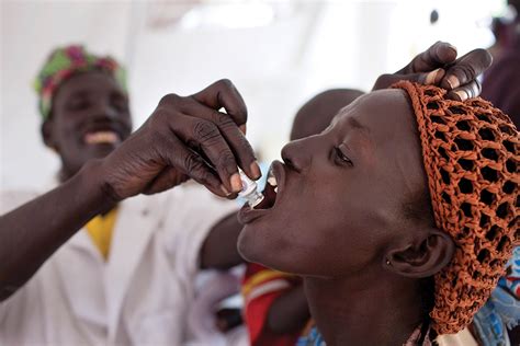 oral cholera vaccine is success in guinea africa defense forum