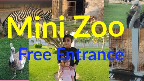 Please stay tuned to our facebook and instagram page to get the. Alkhor Family Park Qatar | Mini Zoo | Free Entrance - YouTube