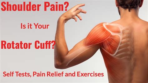 Shoulder Pain Rotator Cuff Tests Pain Relief And Exercises Youtube