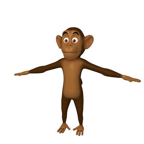 Monkey Cartoon 3d Model Cgtrader