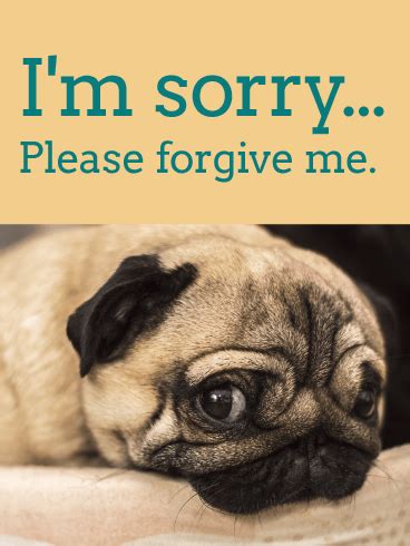All of these just erases the sorry all together its like you never even said it in the first place. Please For Give Me - Pug I'm Sorry Card | Birthday ...