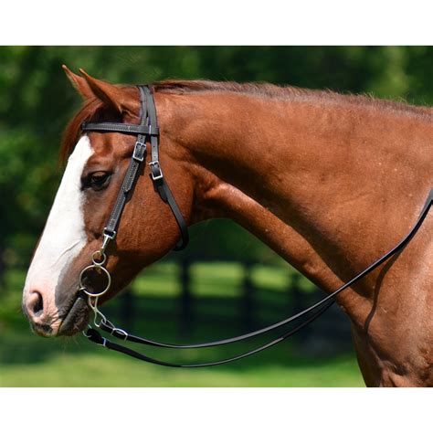 Buy Western Training Bridle At Two Horse Tack