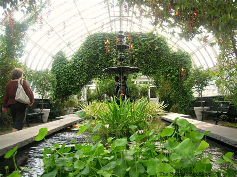 A Visit To The Remarkable Enid A Haupt Conservatory The Boondocks Blog