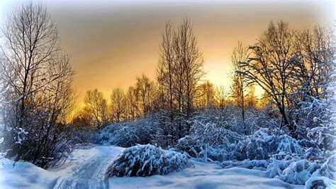 Winter Scene Desktop Background 51 Pictures