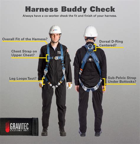 Harness Buddy Check Fall Protection Gravitec Systems Inc