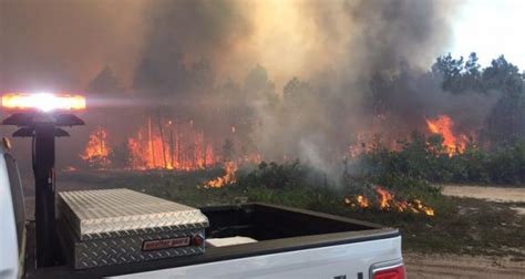 Wildfire Causes Evacuation Near Walt Disney World Disney Dining