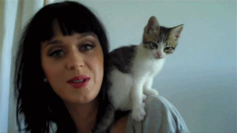 Kitty Purry Katy Perry  Wiffle