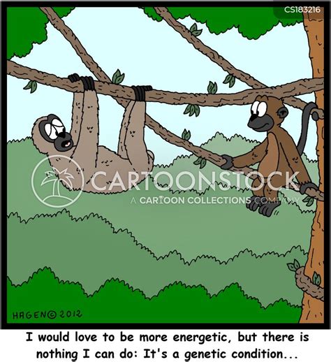 Sloths Cartoons And Comics Funny Pictures From Cartoonstock