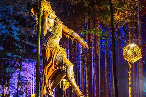 15 Amazing Photos Of The Art At Electric Forest 2017