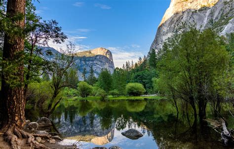 Wallpaper Trees Mountains Lake Reflection Ca Yosemite California