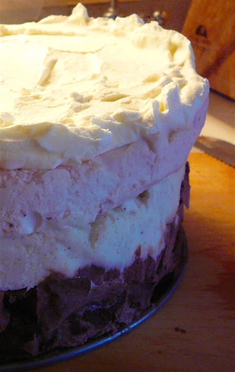 The Hidden Pantry Easy Make Ahead 5 Layer Ice Cream Cake Makes For