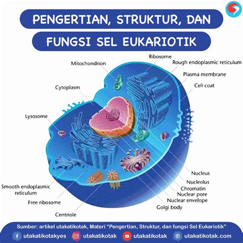 Organisme Prokariotik Dan Eukariotik - Homecare24