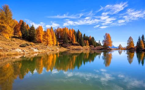 Trees Landscape Forest Fall Italy Lake Water Nature Reflection