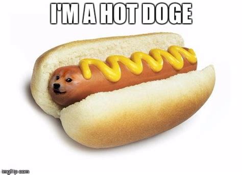Doge Hot Doge Imgflip