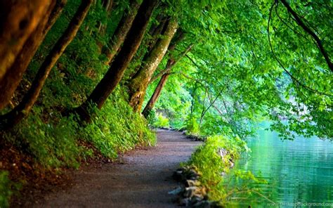 Nature wallpapers high quality images hd desktop images sky. Nature Wallpapers High Resolution Free Download,desktop ...