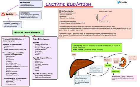 Causes Of Lactate Elevation Lactic Acidosis Differential GrepMed