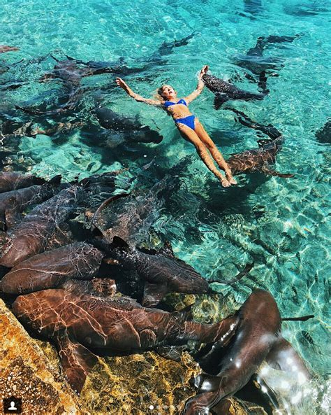 Model Suffers Shark Bite While Posing For Instagram Photo