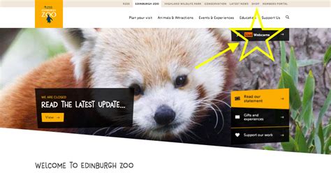 Early Years: Edinburgh Zoo - Live Cameras!