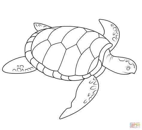 Free Printable Sea Turtle Coloring Pages Printable Templates