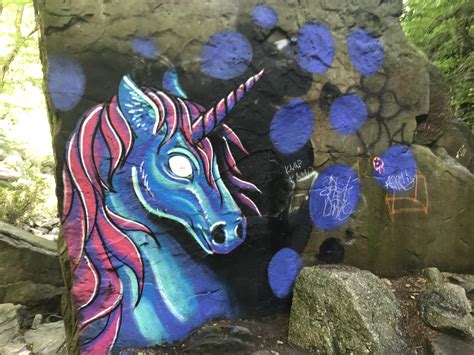 Unicorn In The Woods Rgraffiti