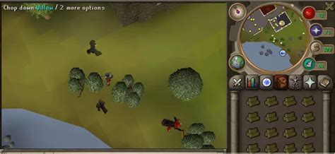 Maybe you would like to learn more about one of these? Osrs f2p hardcore ironman money guide