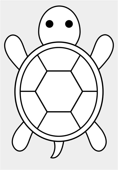 A great kids' activity, this short tutorial will walk you through each step. How To Draw A Sea Turtle Cute