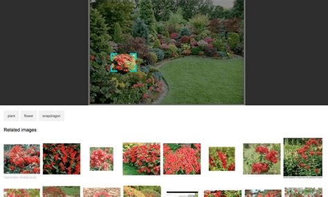Bing Visual Search Lets You Search Specific Objects Within Images