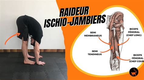 Comme Soulager La Raideur Des Ischio Jambiers Stretching Pro