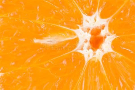 Detail Texture Of Fresh Orange Fruit Stock Image Image Of Close