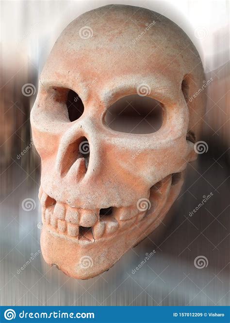 Skull stock image. Image of anatomy, bones, teeth, white - 157012209