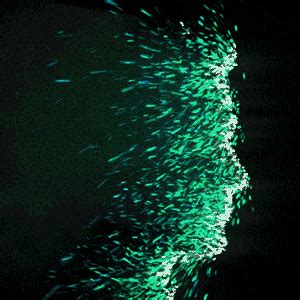 designcreme: Animated GIFs by Motion Addicts