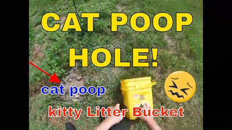 Saving Kitty Litter Buckets I Might Be Around A While Longer Youtube