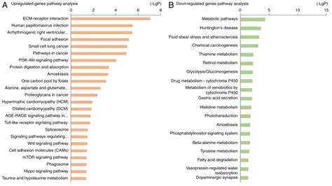 Also the same error with kegg pathway : Identification of key pathways and genes in nasopharyngeal ...