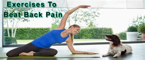 Simple Exercises To Beat Back Pain Chiropractor San Diego Dr Steve