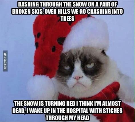 All the images collection is unique and special. Collect the Beautiful Grumpy Cat Memes Clean Funny ...