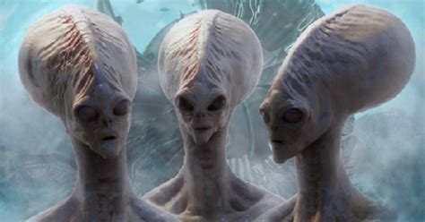 The 5 Aliens People Believe Have Already Invaded Our Planet Thatviralfeed